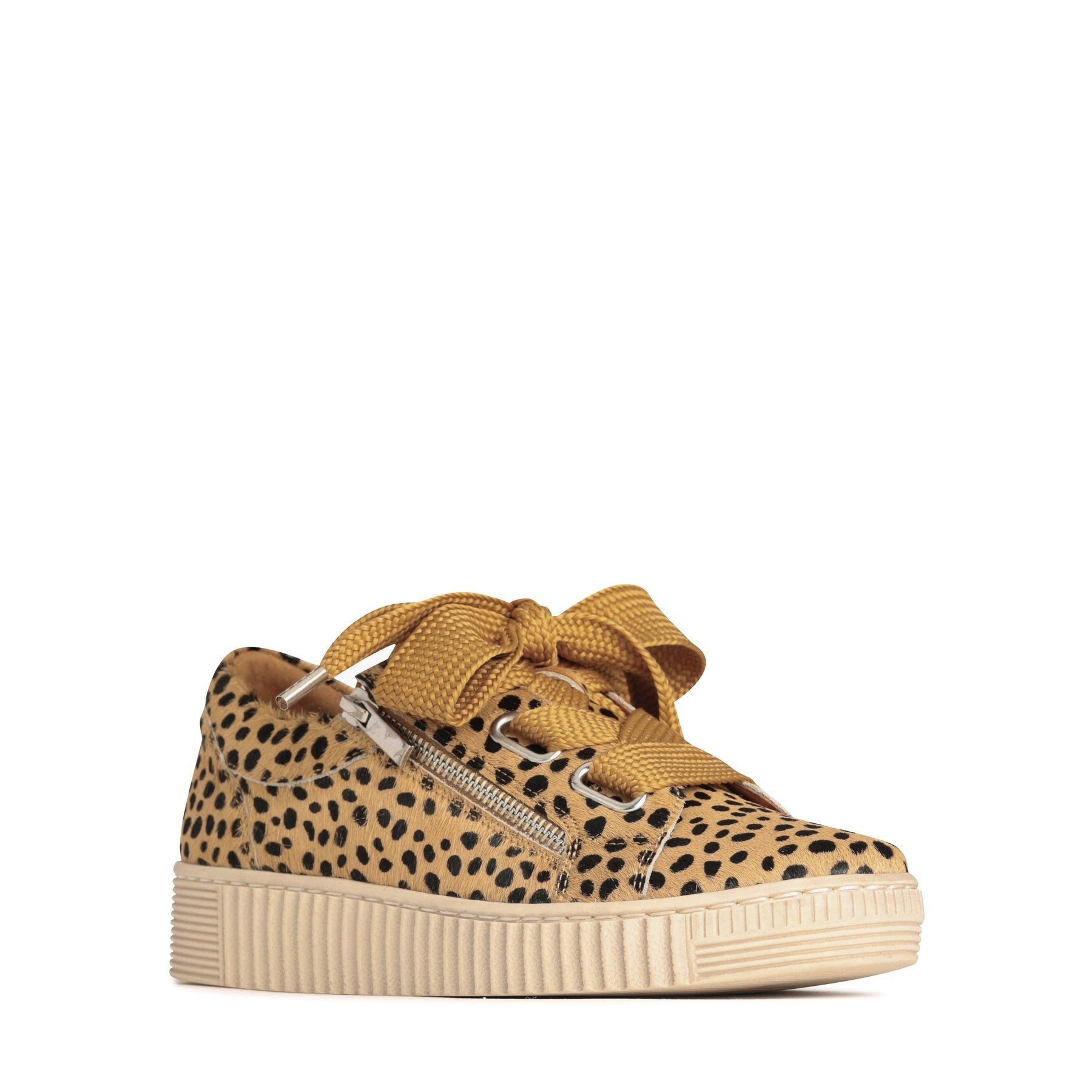 #color_cheetah