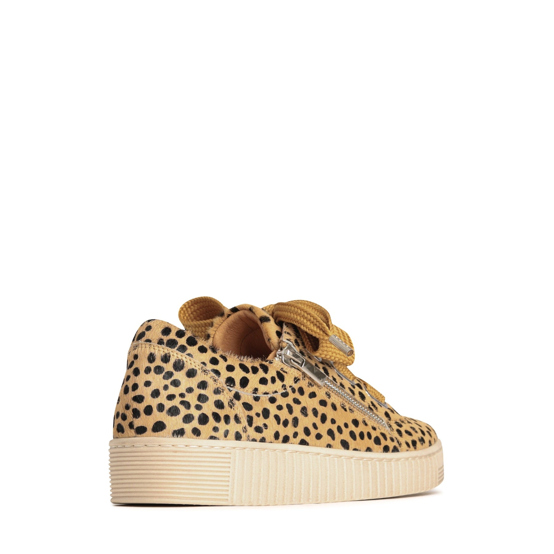 #color_cheetah