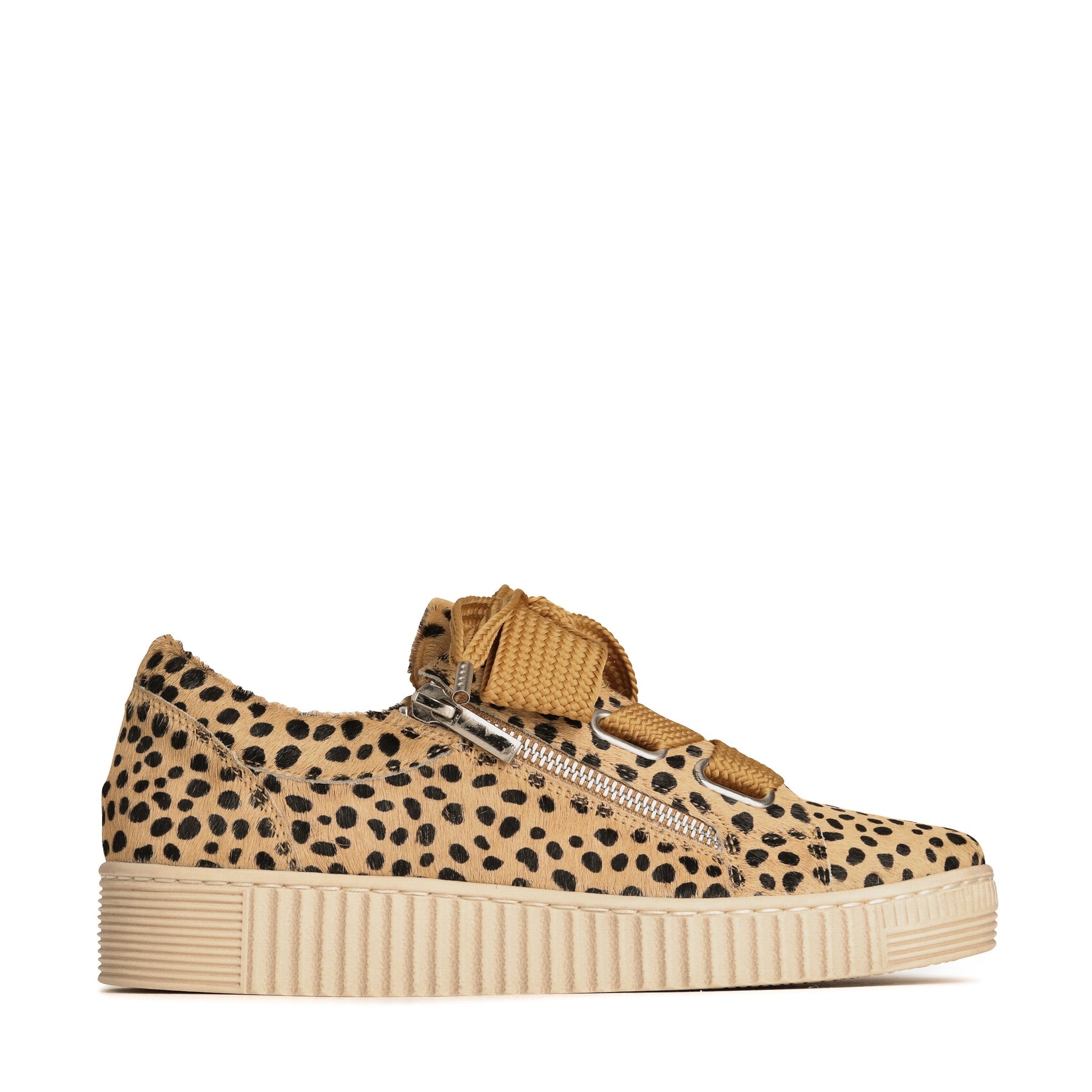 #color_cheetah