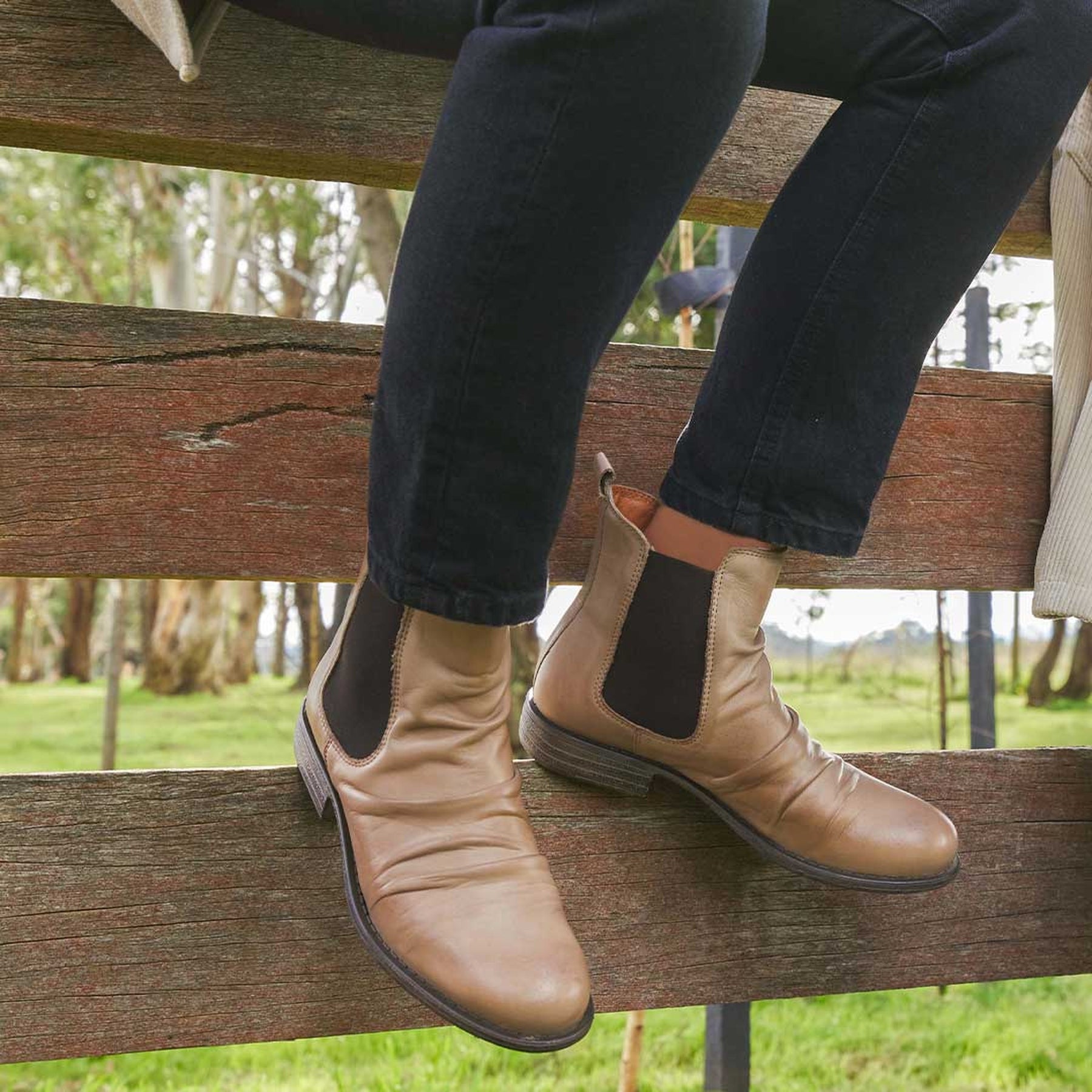 WILLO - EOS Footwear - Chelsea Boots  #color_taupe